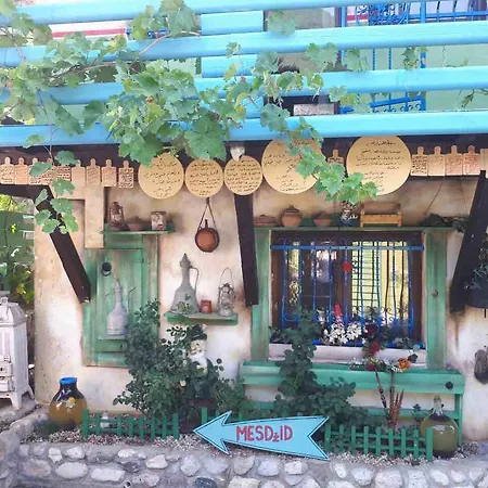 Eco Village Raj U Raju Holiday park